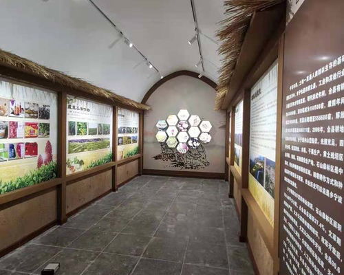 沁源展厅工厂 多媒体展厅工厂 山西蓝鼎艺展展览