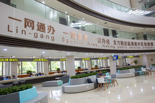 一网通办 拟建会展统一服务窗口