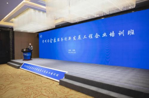 创新会展服务模式，为行业发展注入新动能